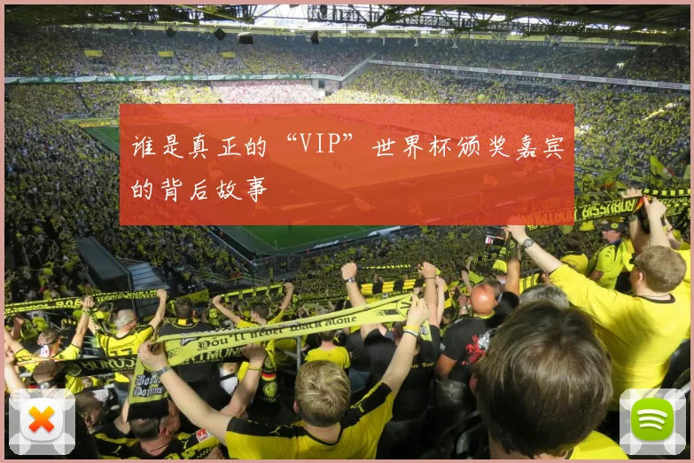 谁是真正的“VIP”世界杯颁奖嘉宾的背后故事